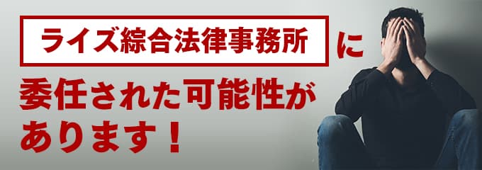 ライズ綜合法律事務所の受任先